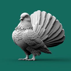 5345345.jpg Fichier STL pigeon・Plan imprimable en 3D à télécharger