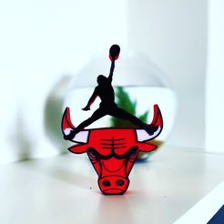image1-13.jpeg Jordan logo chicago bulls