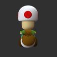 Toad-back.jpg Mario - TOAD