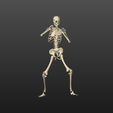 squelette3.png Skeleton boxer