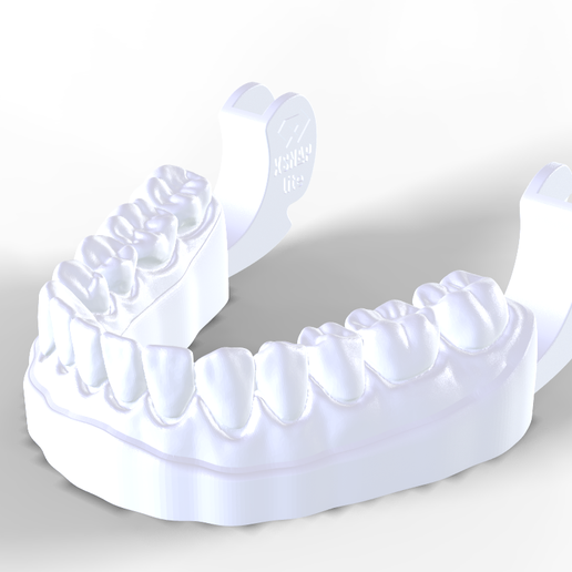 Screenshot_15.png 带功能关节器接口的数字切面模型