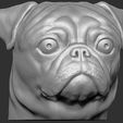 1.jpg Pug head for 3D printing