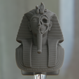 003.png Tutankhamun Skull