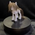 IMG_4799.jpeg Pony Articulated Action Figure