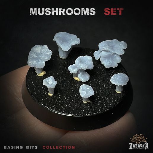 Photo-3.jpg Champignons - Morceaux de base