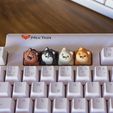 Dogys_keycaps-04.jpg Doggies Tastenkappen - Mechanische Tastatur