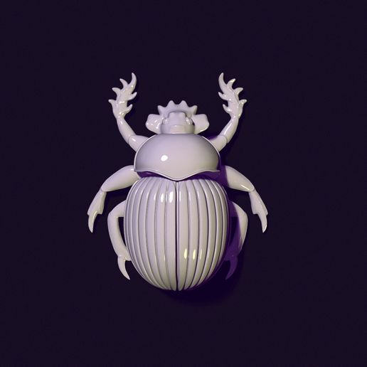 18.jpg Brinquedo escaravelho