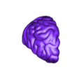 LobuloFrontalDerecho.stl Anatomical model of the brain with base.