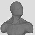 Spiderman.JPG spiderman bust