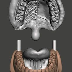 boca-8.jpg mouth anatomy
