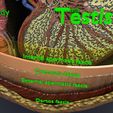 file-18.jpg testis with covering layers 3D model