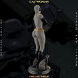 evellen0000.00_00_04_00.Still008.jpg Catwoman Grey Bodysuit - Collectible Edition