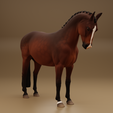 farrahb2.png Farrah, la giumenta di razza warmblood