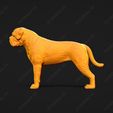 3002-Bullmastiff_Pose_01.jpg Bullmastiff Dog 3D Print Model Pose 01