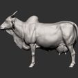indian-cow11.jpg Indian cow 3D print model
