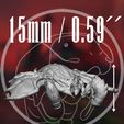 drone.jpg Drone (SC 1)