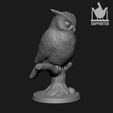 2.png royal owl