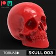 F-01.jpg SKULL SKULL 03 skull for decoration