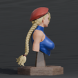 c3.png Cammy VS pose
