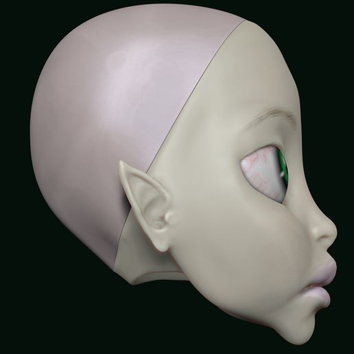 2023-12-24-06_17_43-ZBrush.jpg BJD Кукольная голова Hyland collection