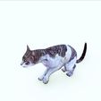 9.jpg CAT - DOWNLOAD CAT 3d model - animated for blender-fbx-unity-maya-unreal-c4d-3ds max - 3D printing CAT CAT - POKÉMON - FELINE - LION - TIGER