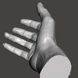 4.png Scan3D Hand woman 32years