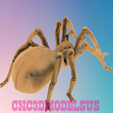 3.png SPIDER 1 3D MODEL STL FILE FOR CNC ROUTER LASER & 3D PRINTER
