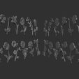 07.jpg Birth Month Flowers Set Bas Relief 3D Model