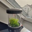 20240330_100517.jpg Scifi Plant Cylinder/Lantern