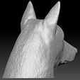 11.jpg German Shepherd head for 3D printing