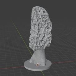 _SQ_F22-morel7.jpg Fichier STL Morel #6・Modèle à télécharger et à imprimer en 3D