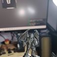 IMG_20260222_174001.jpg Winged wizard champion