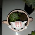 61mmF4CtVuL.jpg Mini Kitty Planter - STL for 3D printing, Vase Flower Pots Personalized Office House Balcony Landscape Creative Decorative Flower Pots (Cat)