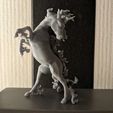 Rapidash.jpg Rearing Rapidash Pokémon