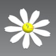 marga_B4.jpg TABLE DECORATION, Flower, Deco, Daisy, Daisy; Marguerite