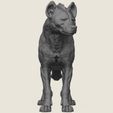 Wild-Hyena-03.jpg Wild Hyena Print Ready 3D Model
