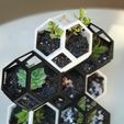 plantygon1.jpg Free STL file Plantygon - Modular Geometric Stacking Planter for Succulents・3D printable model to download