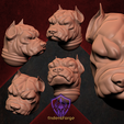 005-Pitbull-Heads-for-Marines-Head-4.png Voidwalker Space Bully Marine Heads