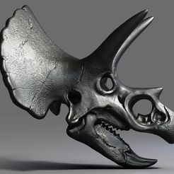 Triceratops Skull Render (3).jpg STL-Datei Triceratops Skull kostenlos・Vorlage für 3D-Drucker zum herunterladen