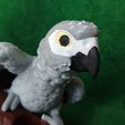 IMG_20240731_165955915.jpg African Grey Pencil Holder