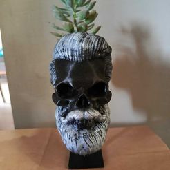 WhatsApp-Image-2023-08-08-at-8.52.04-AM-2.jpeg Archivo STL Maceta Skull Barber・Objeto de impresión 3D para descargar