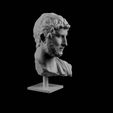 resize-5a61e49bd5098a5290cb9d5047e2ee53e88c1f4d.jpg Marble bust of Hadrian at the MET, New York
