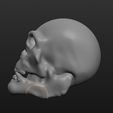 skull2_display_large.jpg Skull thing
