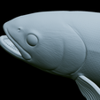 Rainbow-trout-trophy-46.png rainbow trout / Oncorhynchus mykiss fish in motion trophy statue detailed texture for 3d printing