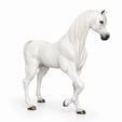 06392777-ddda-483f-bd52-92cdb97c7e84.png Arabian Horse