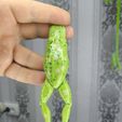 photo_5_2026-05-30_00-37-57-1.jpg Realistic Frog 166mm — Master Model for Mold Making Inspired Design (FDM Optimized) PETG