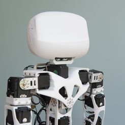 Open-Source_3D_printed_Poppy_humanoid_robot_(head).jpg Poppy Humanoid