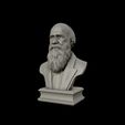19.jpg Charles Darwin portrait sculpture 3D print model