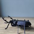 IMG20231009171549.jpg Stag Beetle Buildable Animal Figure
