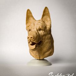 20220108_101812.jpg Fichier STL Buste/tête de berger allemand・Design à télécharger et à imprimer en 3D
